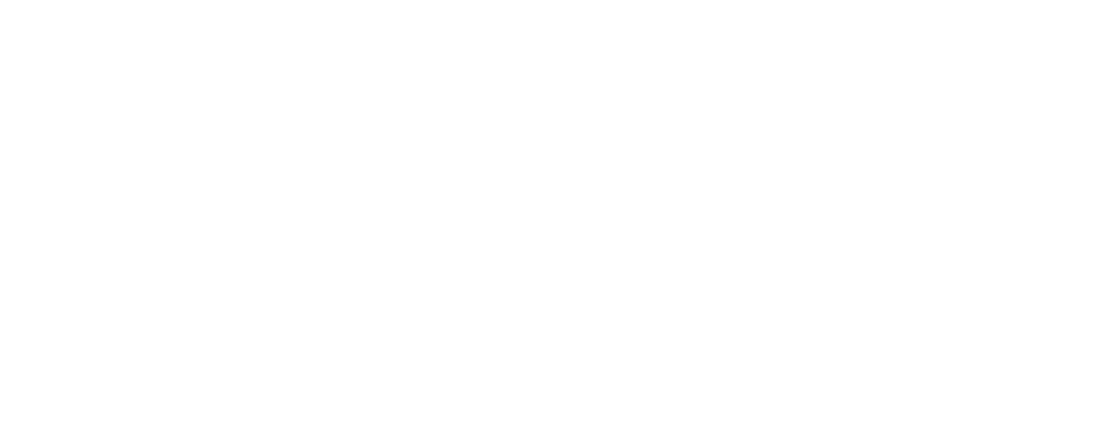 Disability Sports Australia Logo